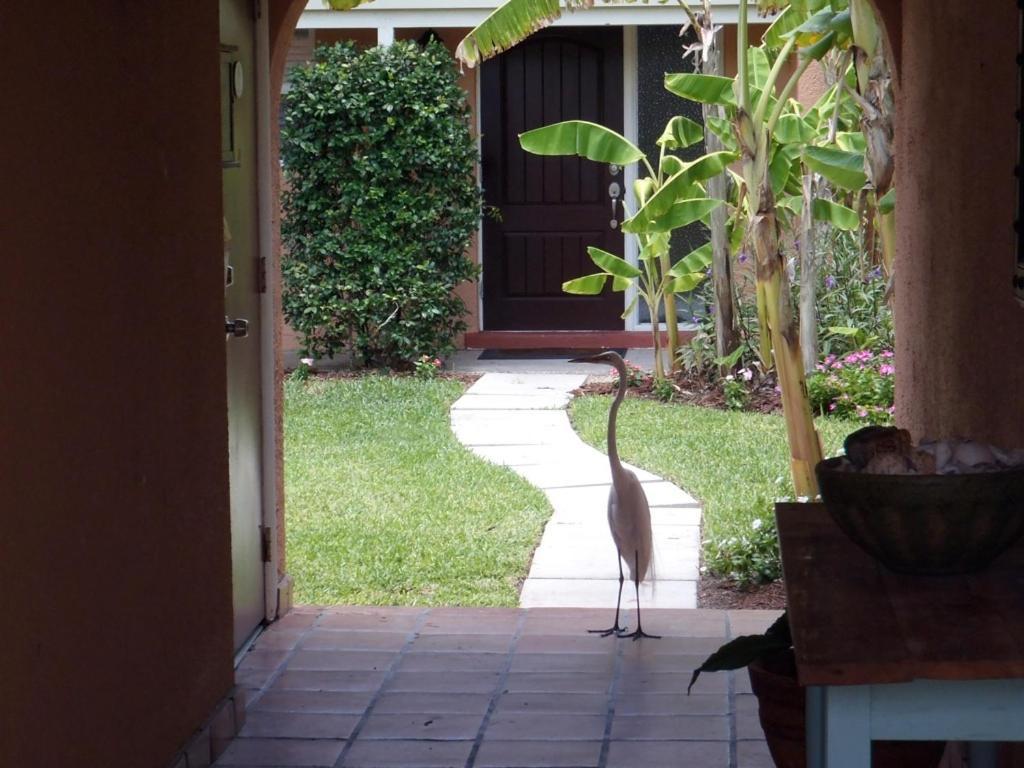 Beach Road Villas Sanibel Bagian luar foto